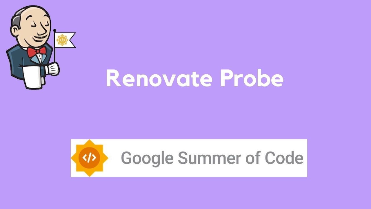 Renovate Probe